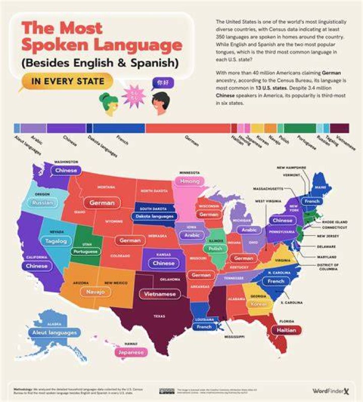 What language is hai?