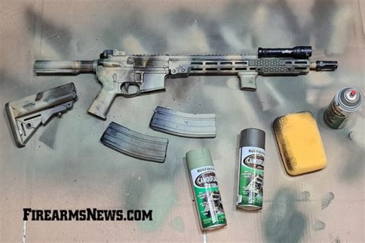 What makes an AR 15 an assault weapon?