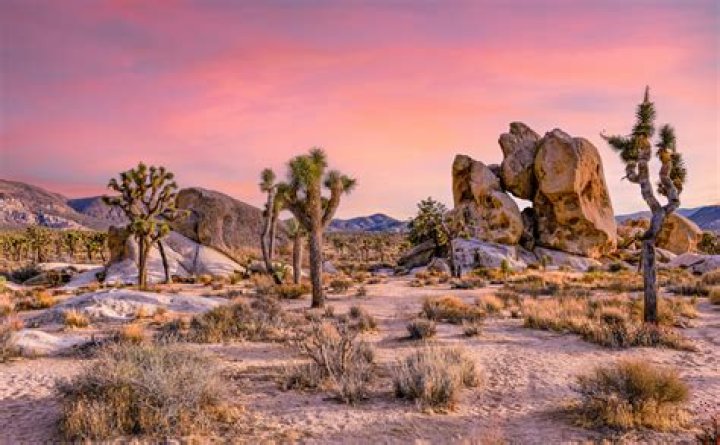 What natural features are in the California desert region?