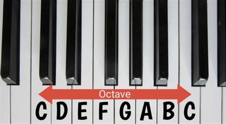 What octave is a mandolin tuned?