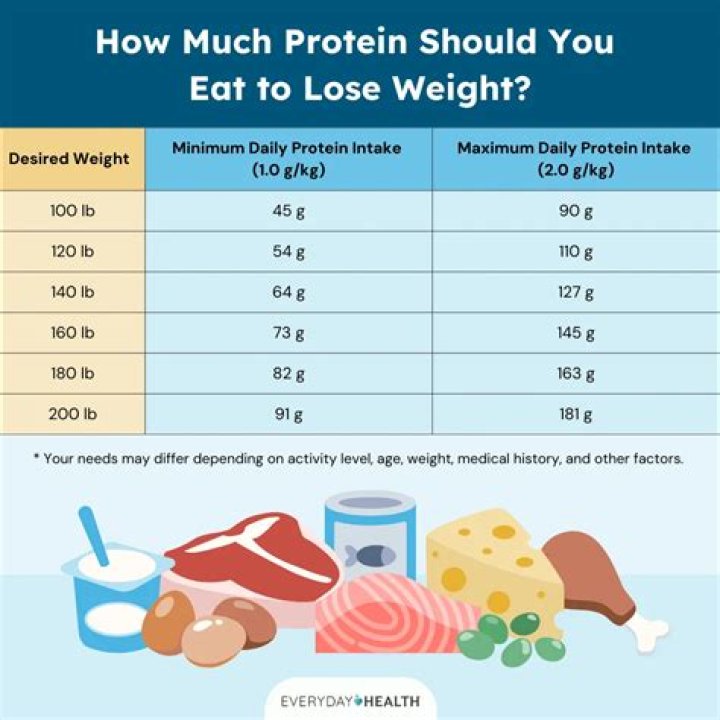 What percent of a dog's diet should be protein?