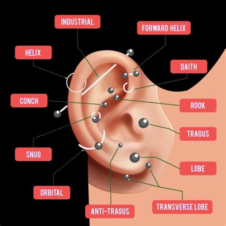 What piercings go well with a forward helix?