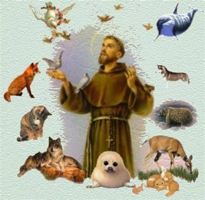 What saint is for animals?
