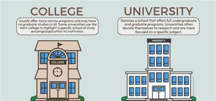 What services do colleges provide?