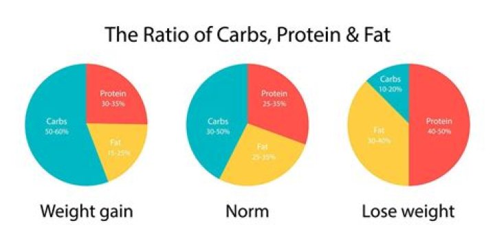 What should the balance be between carbs protein and fat?