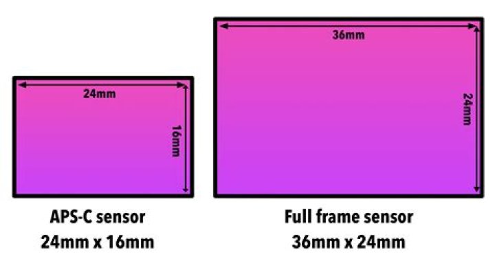 What size sensor is APS C?