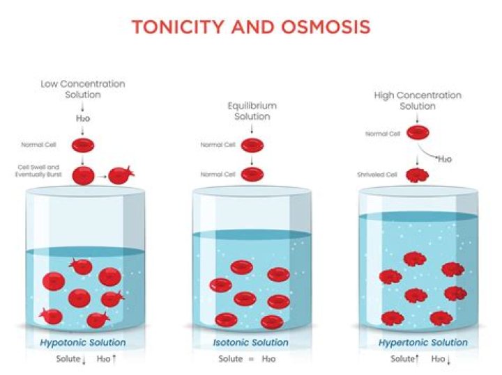 What tonicity causes osmosis?