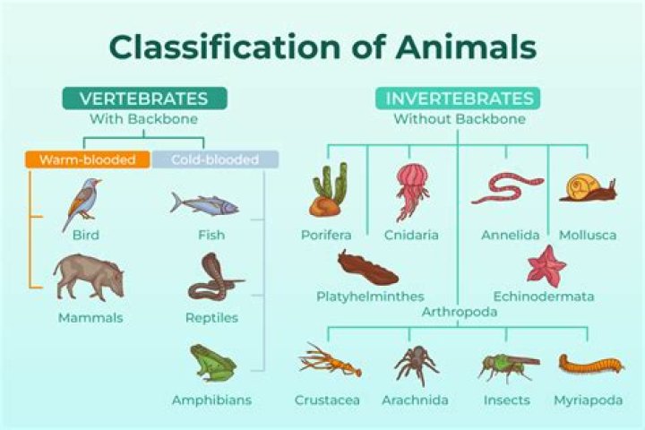 What tree has the most species?