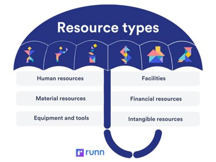 What type of resource is money?