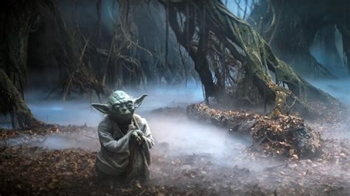 What was Luke eating on Dagobah?