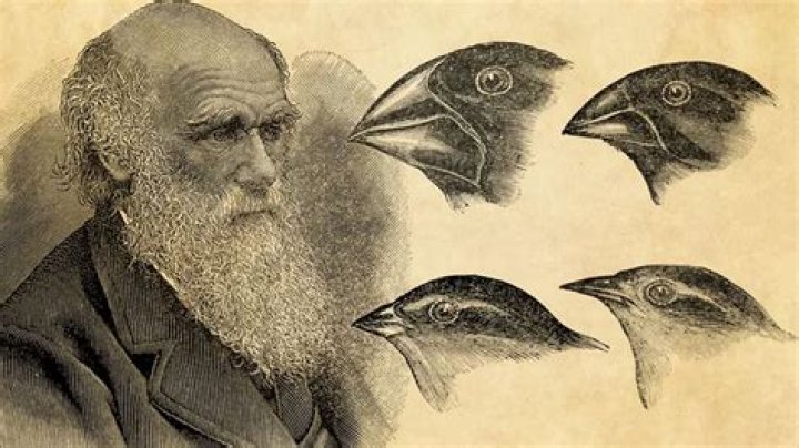 What were Charles Darwin's favorite things to do?