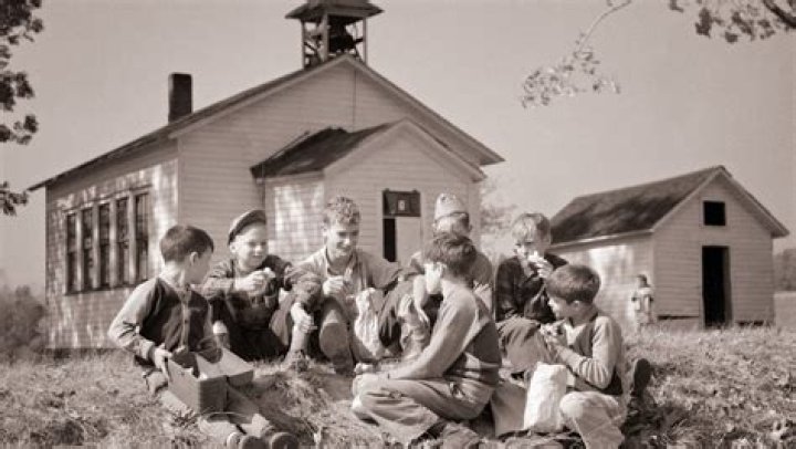 What were normal schools and who did they serve?