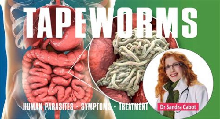 What Wormer treats tapeworms?