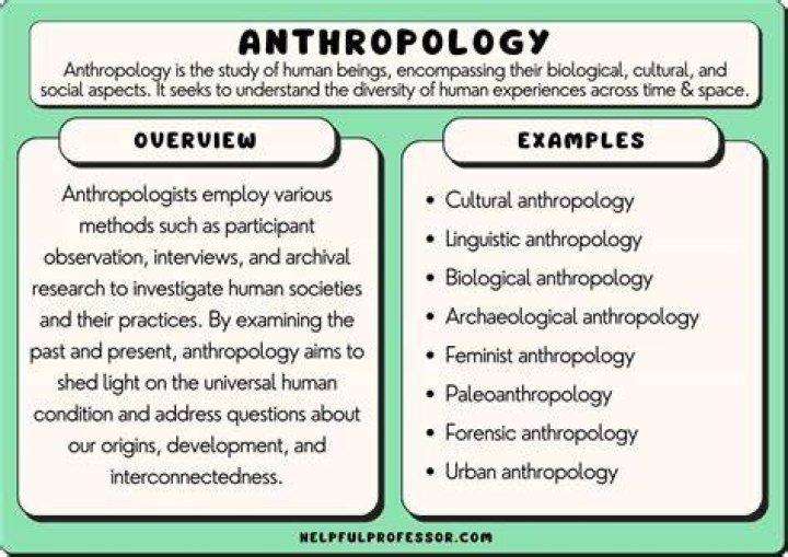 What would a biological anthropologist study?
