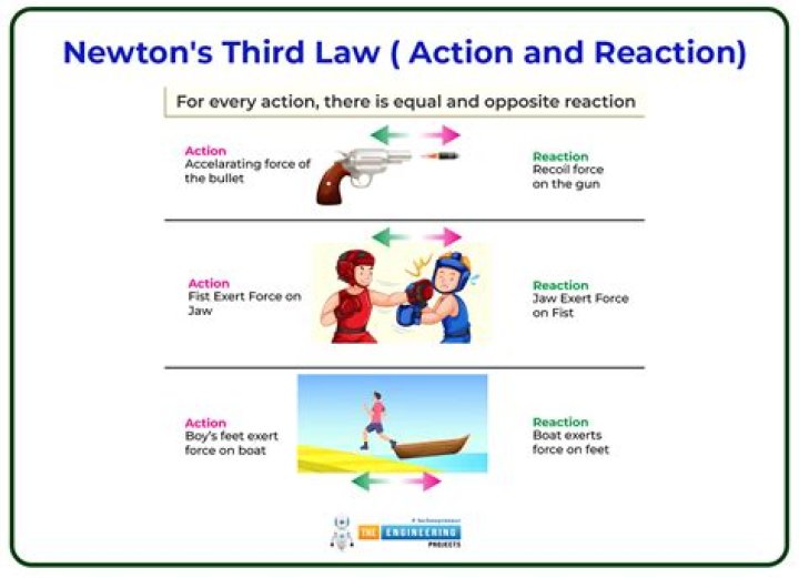 What would happen without Newton's third law?