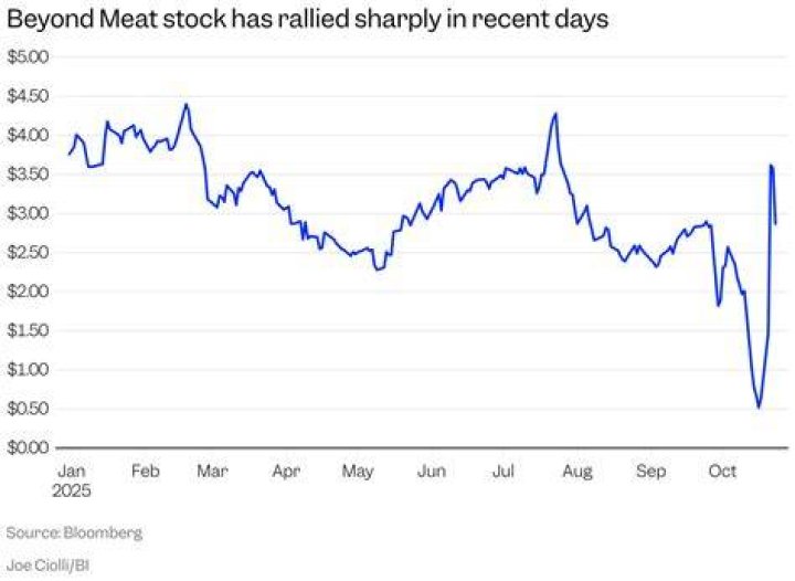 What year Quicken became the market leader?