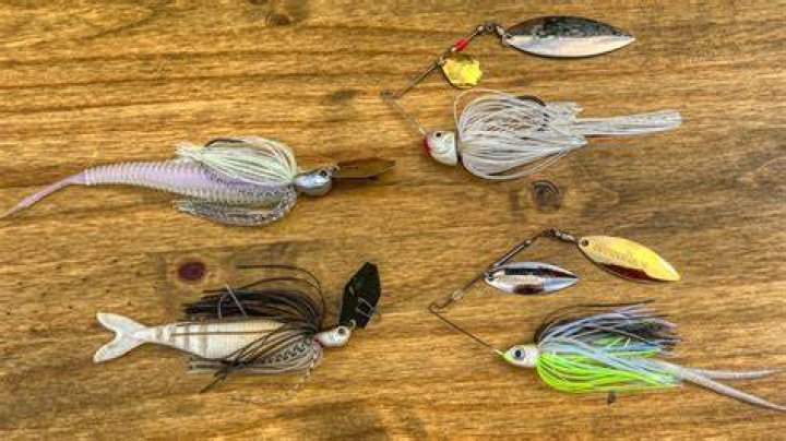 When should you use a chatterbait?