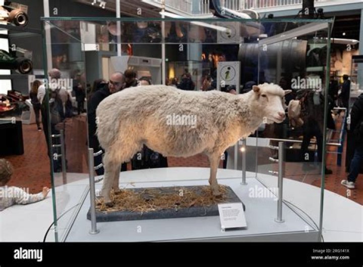 When was the first animal cloned?