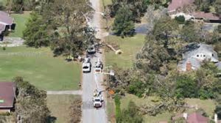 When were deer brought to Georgia?