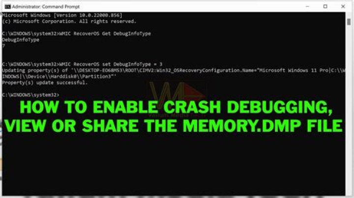 Where are debug dump files?