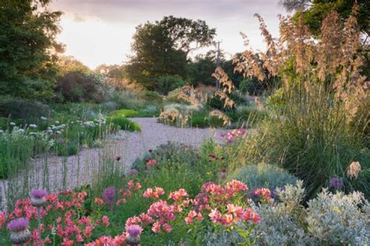Where can I find Arden's Garden 2 day detox?
