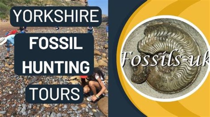 Where can I go fossil hunting in Missouri?