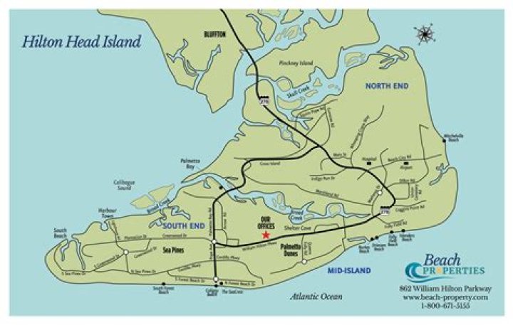Where can I see dolphins in Hilton Head?