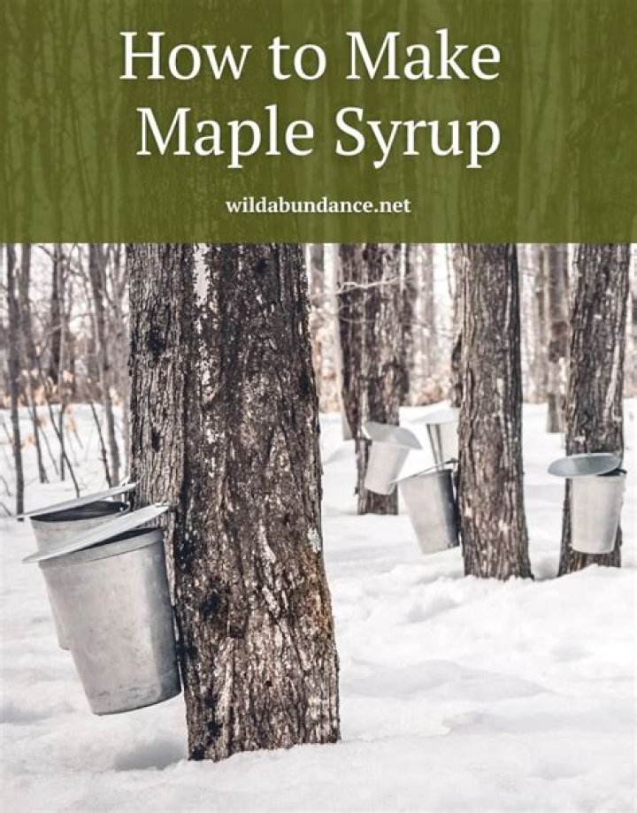 Where does malt syrup come from?