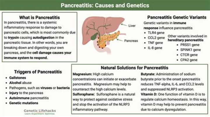 Where does pancreatic amylase do its work?