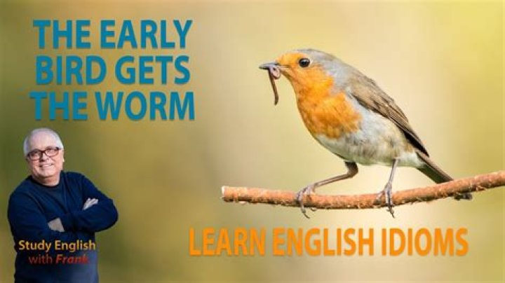 Where does the saying the early bird gets the worm come from?