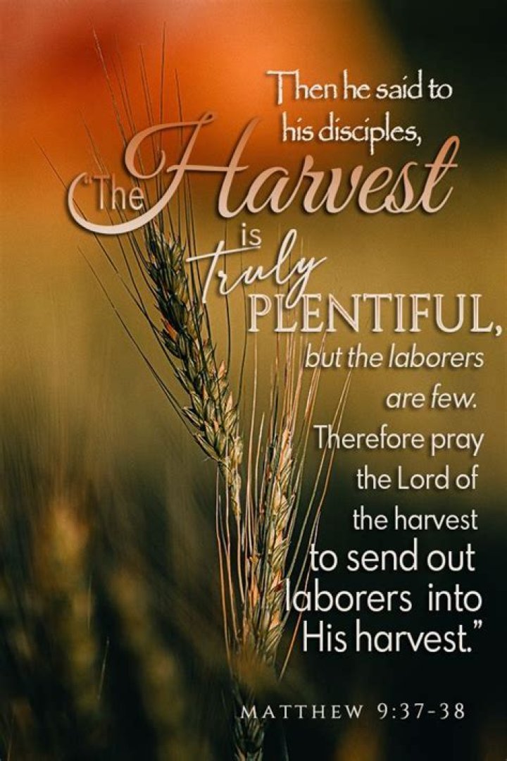 Where in the Bible does it say the harvest is plentiful?