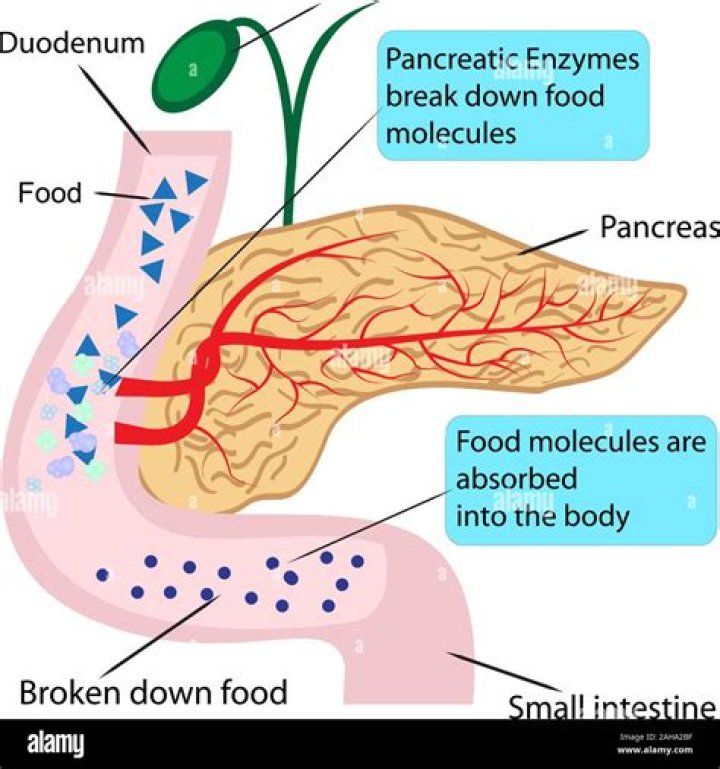Where is pancreatic amylase?