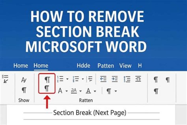 Where is section break in Word 2019?