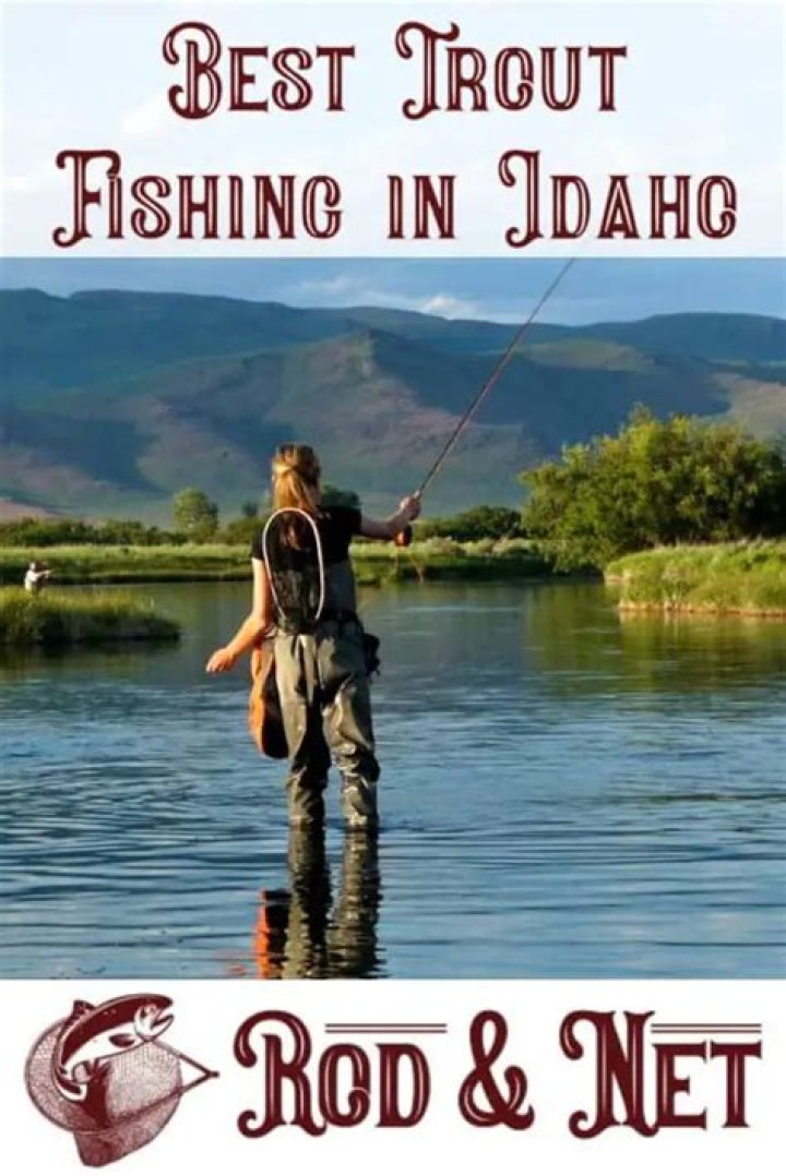 Where is the best trout fishing in Idaho?