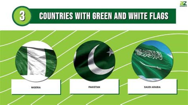 Which country's flag is solid green?