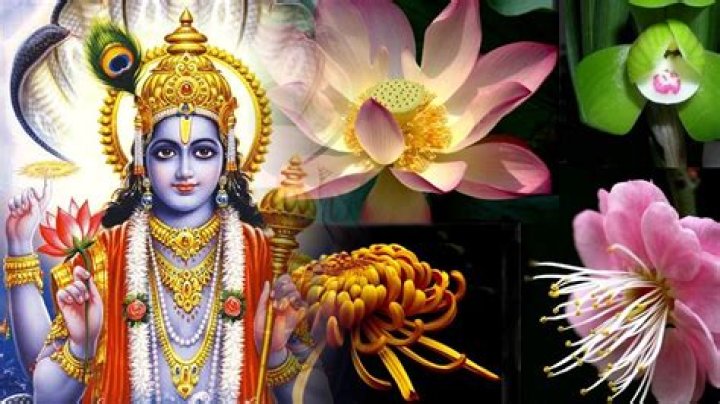 Which flower is offered to Lord Ganesha?