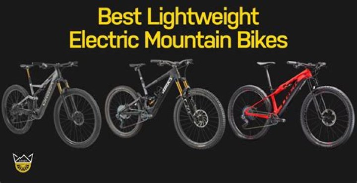 Which is the lightest e bike?