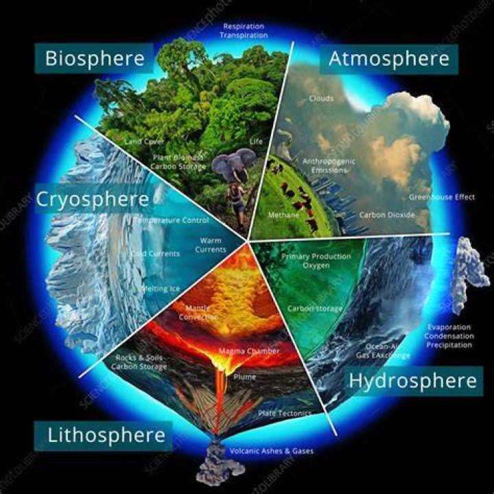 Which of the following best explains why the biosphere is a key component of earths systems?