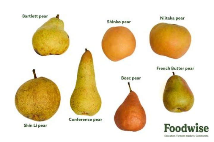 Which Pears soap is best for face?