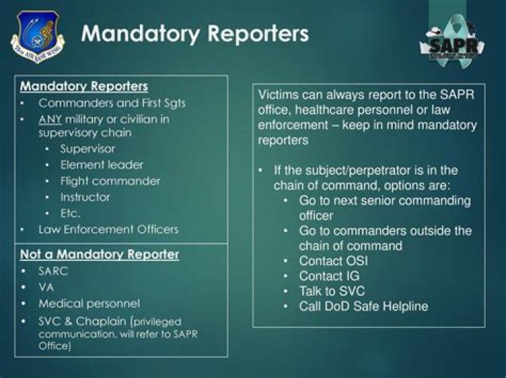 Who are mandatory reporters in Illinois?