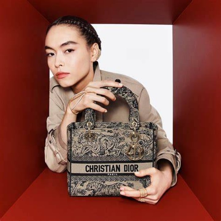 Who carries Dior makeup?