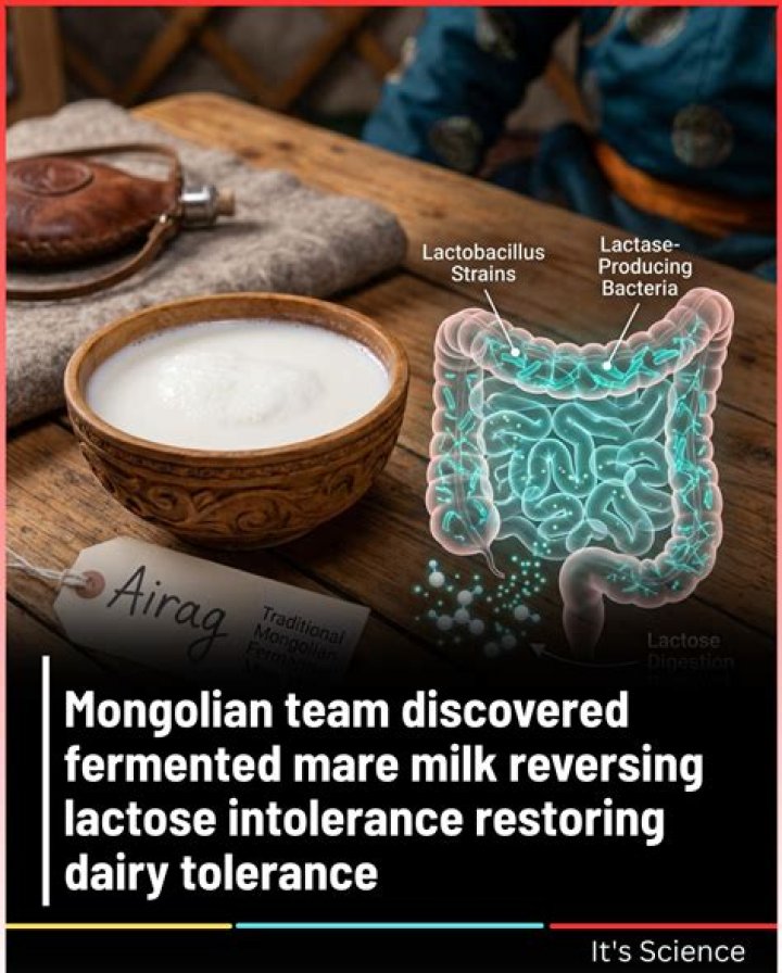 Who discovered Lactobacillus casei?