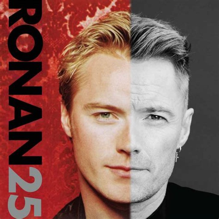 Who is Ronan farrows partner?