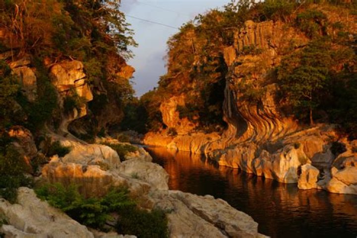Who owns Gorge Wildlife Park?