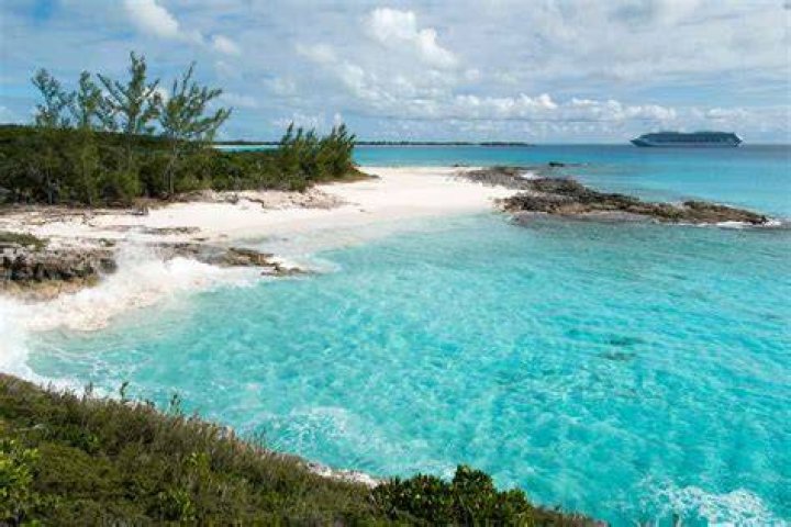 Who owns Walker's Cay in the Bahamas?