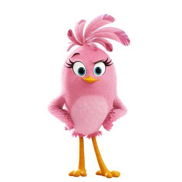 Who plays the pink hatchling in Angry Birds 2?