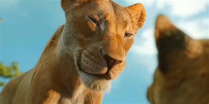 Who ran along with the lion?