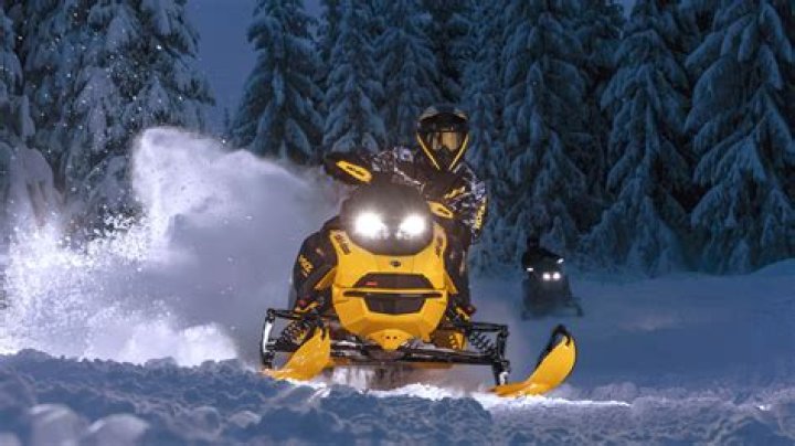 Who sold the most snowmobiles in 2019?