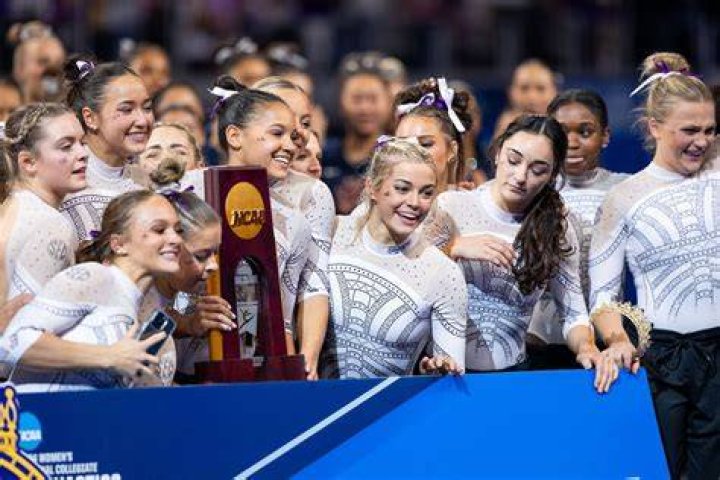 Who won the gymnastics national championship?