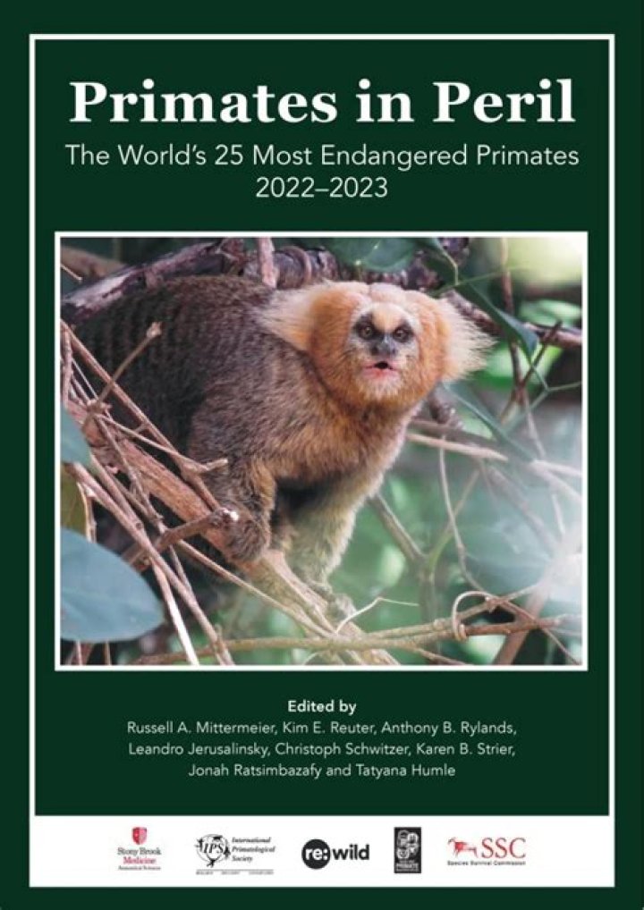 Why are macaque monkeys so mean to their babies?
